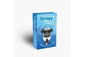 SPRAYY® Menthol ICE für Tabak Zigaretten