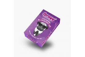 Blueberry Menthol Alternative für Zigaretten, Heets & Glo SPRAYY® Sprüharoma Blueberry ICE