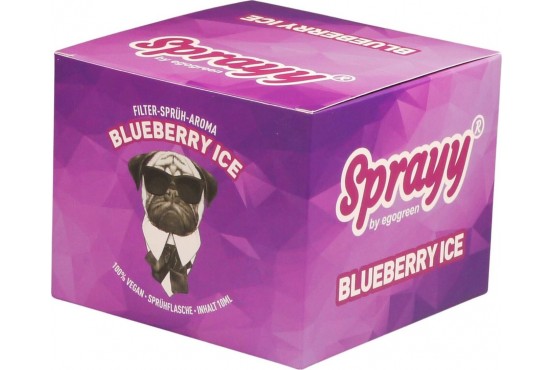 SPRAYY® Blueberry ICE Spray für Menthol Zigaretten Ersatz in der VE 10x10ml