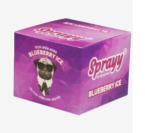 SPRAYY® Blueberry ICE für Zigaretten VE 10x10ml