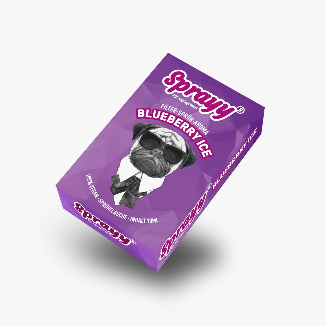 SPRAYY® Blueberry ICE für Tabak Zigaretten